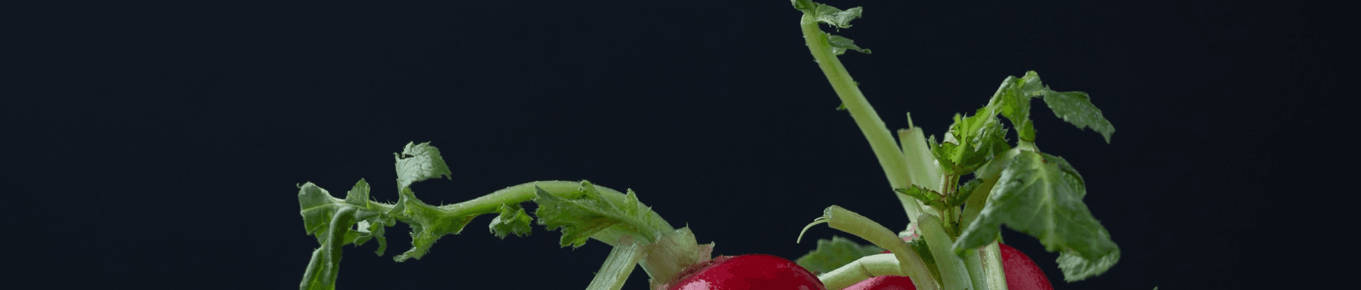 header-background